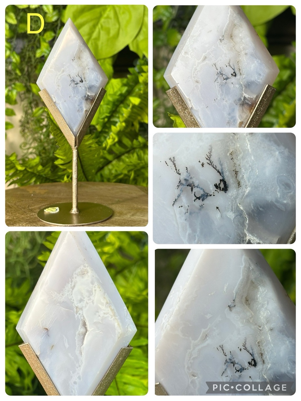 Natural White Dendritic Agate Diamond with Gold Stand Crystal Mineral Specimen